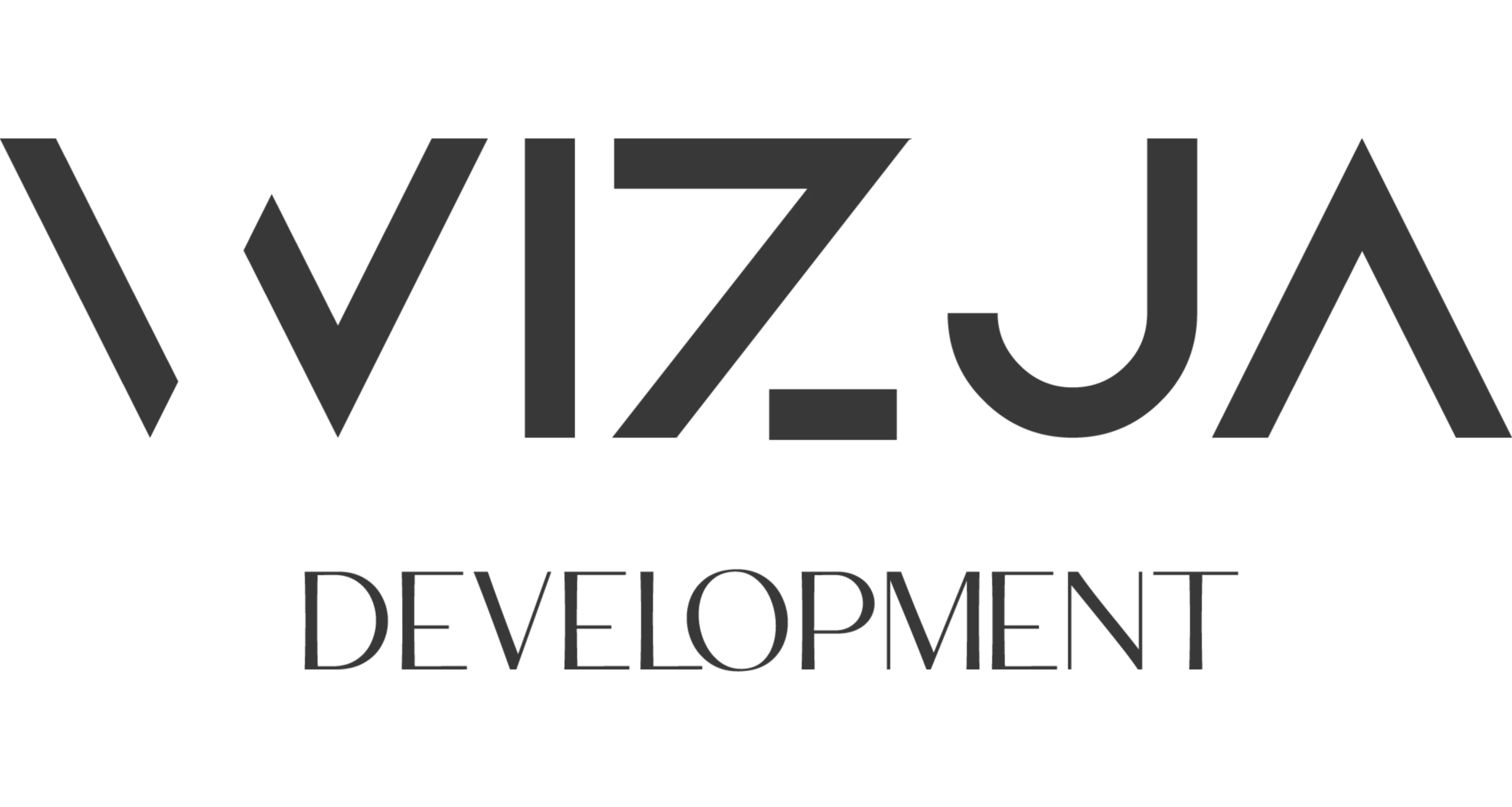 Vizja development